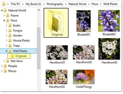 File Structure in Windows Explorer - Level 3