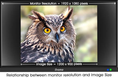 MonitorResolution