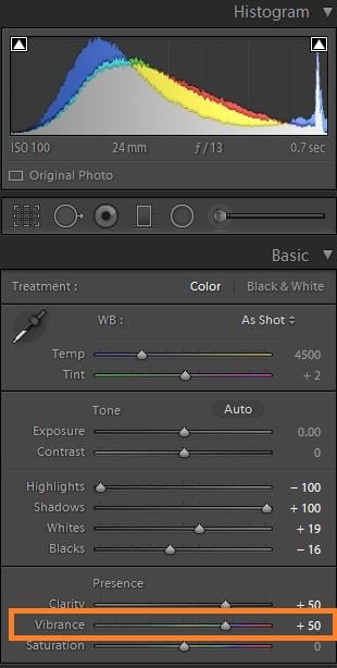 The vibrance slider in Lightroom