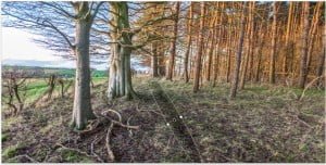 Selectively adjusting the exposure of the footpath in Lightroom