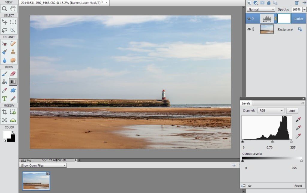 Open image in Elements; create new layer