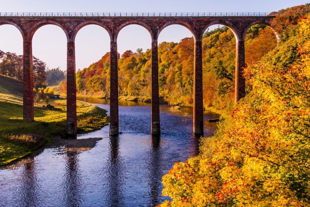 Autumn Theme Photo by Alex McSorley