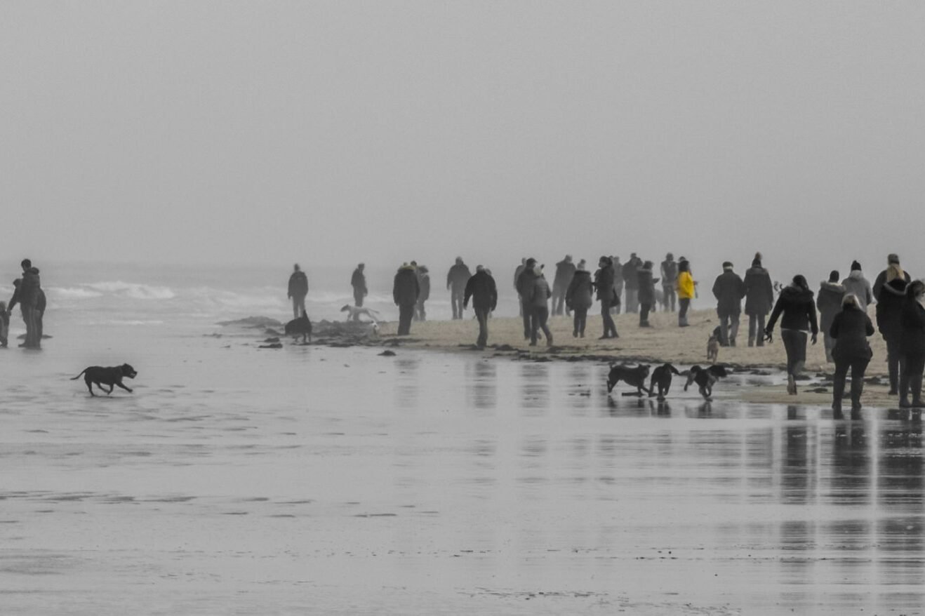 Gathering on the Beach